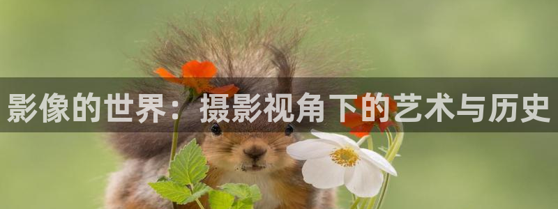 悟空分身教程视频：影像的世界：摄影视角下的艺术与历史