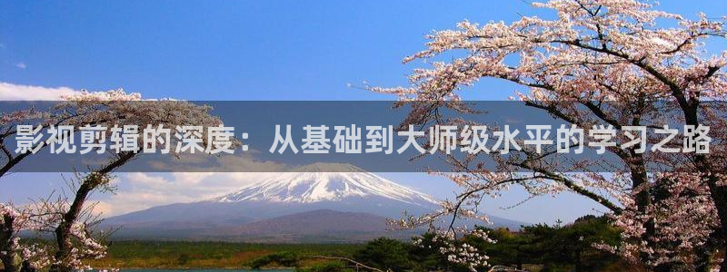 悟空 视频：影视剪辑的深度：从基础到大师级水平的学习之路