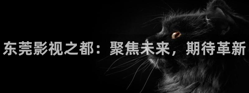 悟空影视免费观看视频下载安装：东莞影视之都：聚焦未来，期待革新