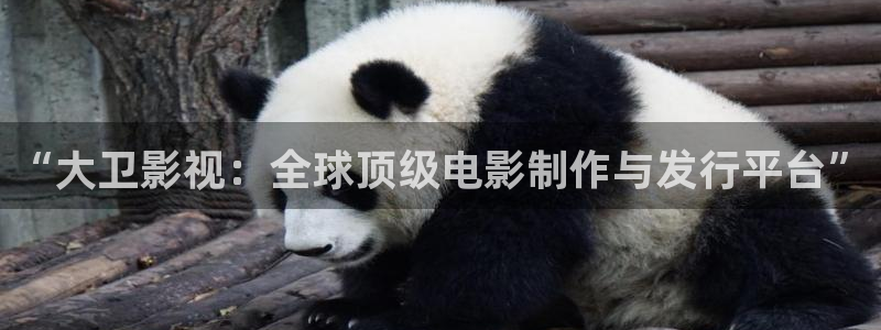 孙悟空变大的视频：“大卫影视：全球顶级电影制作与发行平台”