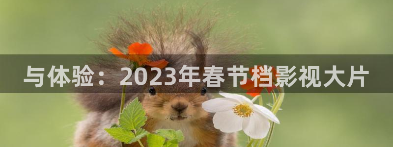 悟空影院手机在线观看：与体验：2023年春节档影视大片