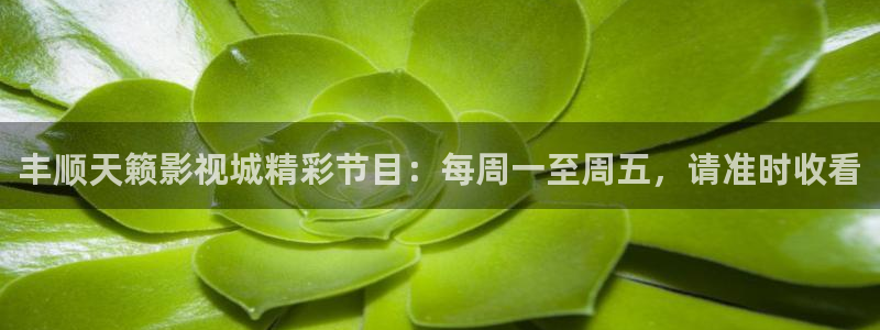 黑化悟空视频：丰顺天籁影视城精彩节目：每周一至周五，请准时收看