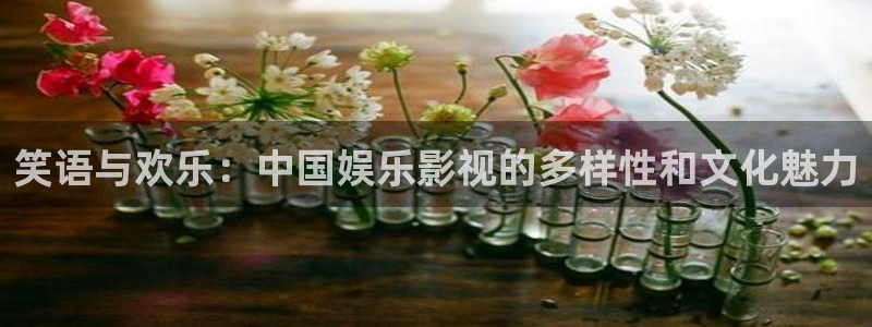 悟空视频极速版：笑语与欢乐：中国娱乐影视的多样性和文化魅力